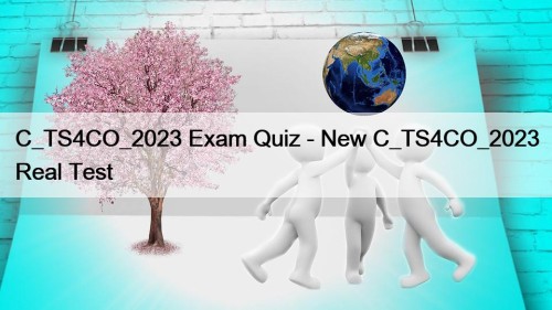 C_TS4CO_2023 Exam Quiz - New C_TS4CO_2023 Real Test