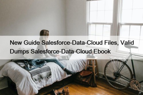 New Guide Salesforce-Data-Cloud Files, Valid Dumps Salesforce-Data-Cloud Ebook